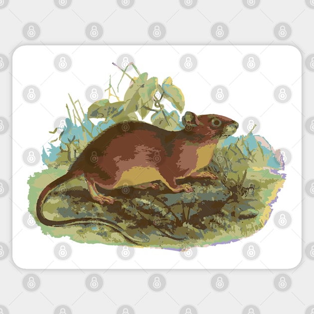 Rodent in the field Sticker by 3_life